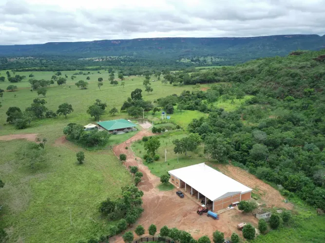 Fazenda c/ 1.500he, c/ 1.400 Formados, Pedra Preta-MT