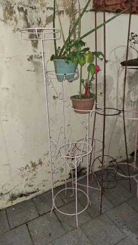 Pés de ferro para plantas