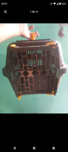 Vendo trasporte de cachorro nova leia informações localização