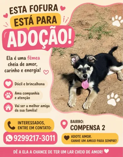 ADOÇÃO RESPONSÁVEL