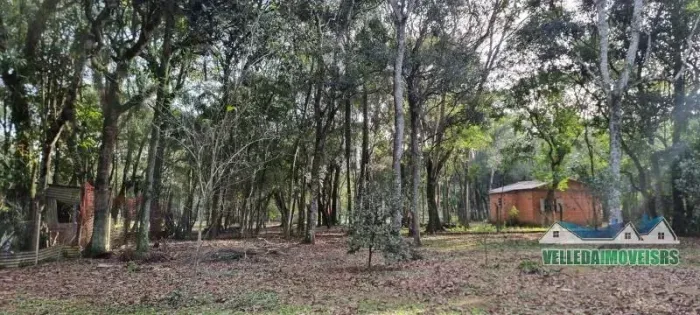 Velleda oferece espetacular sítio de 1692m² em Águas Claras, aceita troca por casa na prai