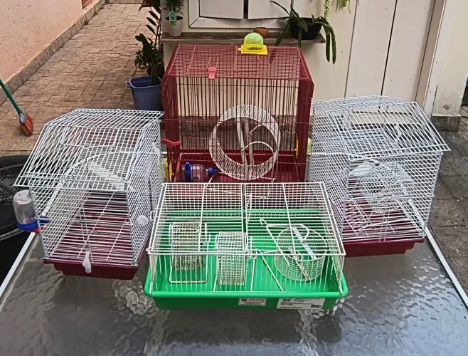 Gaiolas para hamster 