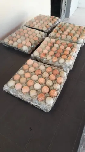 Ovos caipira organico
