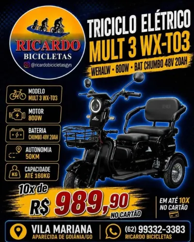 Triciclo Elétrico Mult 3 WX-T03 WEHAWK 800w
