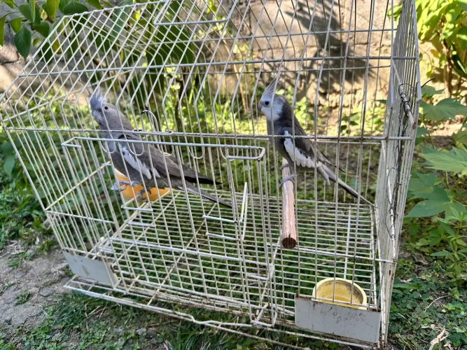 Doação