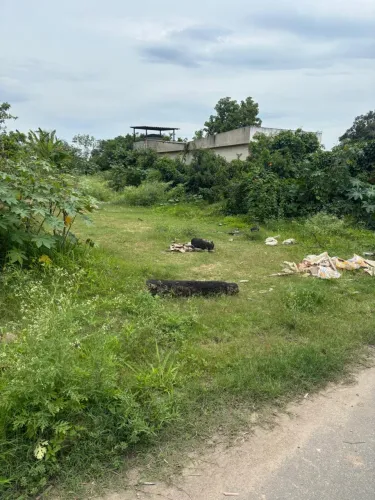 Vendo terreno -Bairro do Pilar ótima localização
