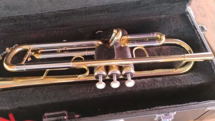 Trompete em sib,semi-novo tirado em loja marca eaglecom case.