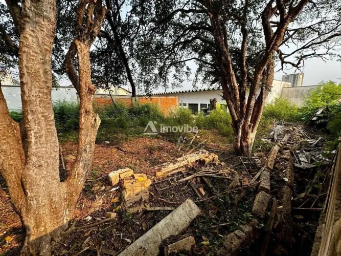 Lote/Terreno, Centro - Americana