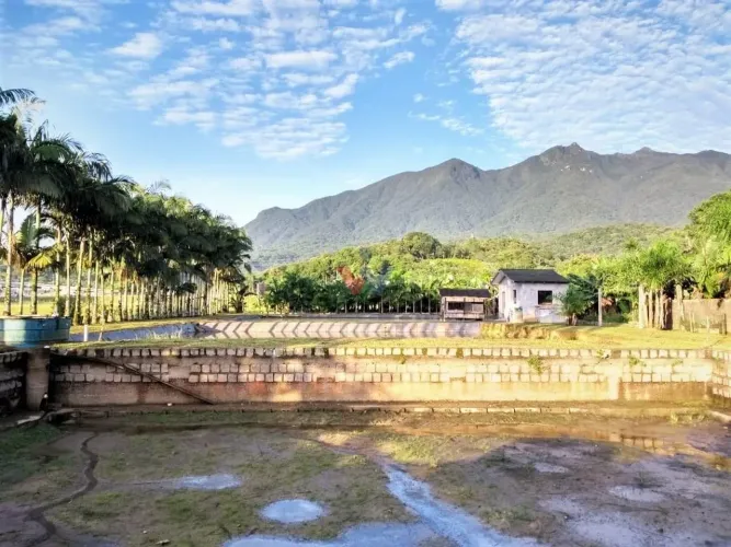 Terreno 9.353 m em Garuva SC com acesso à BR-101 Ideal para investimento estratégico