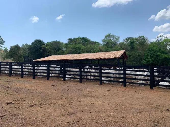 Fazenda em Plano Diretor Norte - Palmas