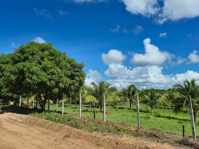 Terrenos na Linha Verde, 7*20. Ha 10 km da Costa do Sauípe,  Canadá,  Porto de Sauípe. 