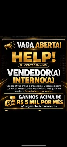 VENDEDOR INTERNO
