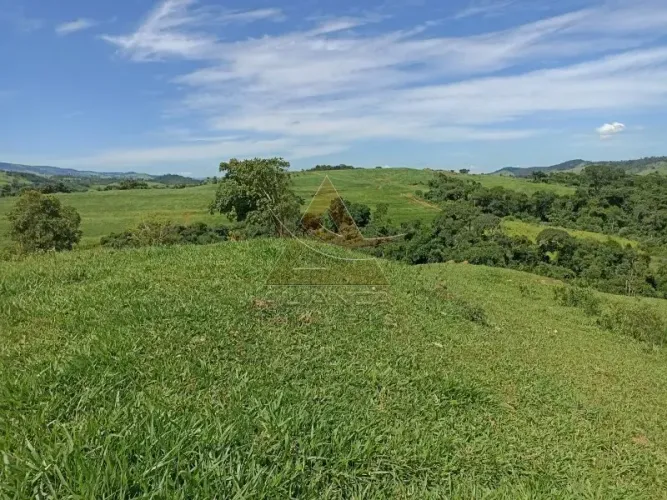 Fazenda - Itapira - Zona Rural