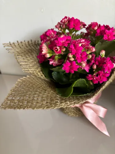 Arranjos naturais para decoração de mesas de festa