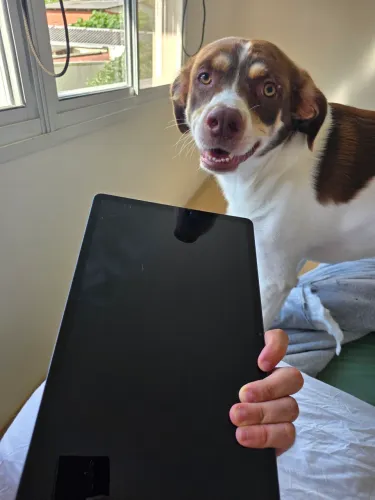 Galaxy tab s9+ 256gb (tela estragada) + 5 acessórios originais 