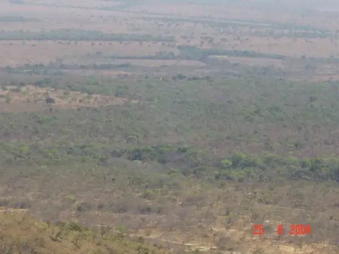 Fazenda 1.560 Hectares em Buritis-MG R$ 18 Milhões