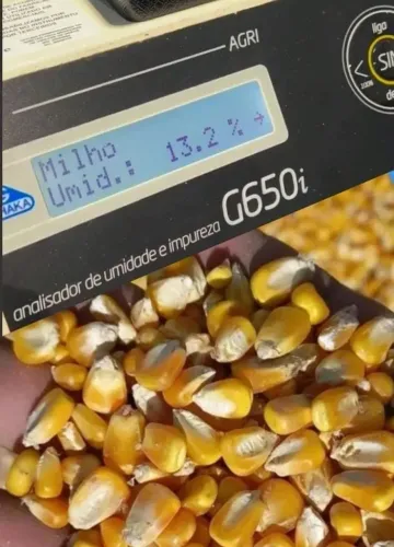 Milho Direto do Produtor Sem Atravessadores,Fazemos entrega em todo Brasil