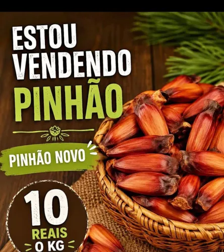 Pinhão 