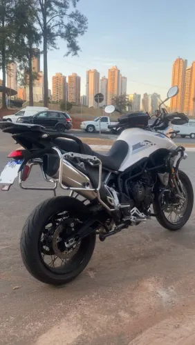 Tiger 900 Rally Pro
