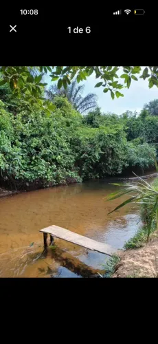 Chácara de 10 hectares às margens do Rio picos em Riachão- MA