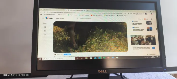 Monitor dell 19 polegadas hd vga