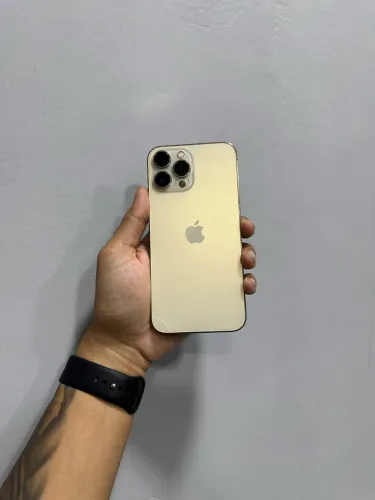 iPhone 13 Pro Max 256GB