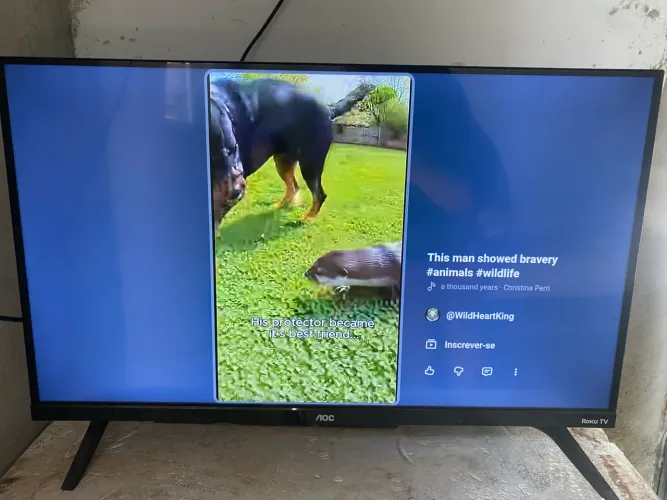Tv Roku 32 Smart 750,00