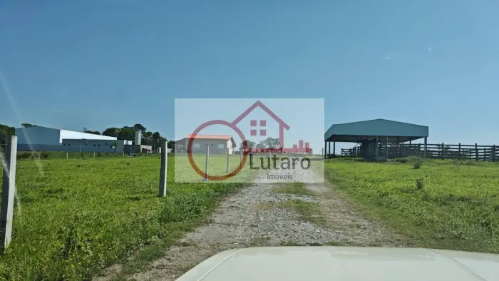 Galpão / Depósito / Armazém em Saltinho - Elias Fausto, SP
