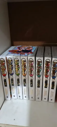 Lote de Mangas INUYASHA