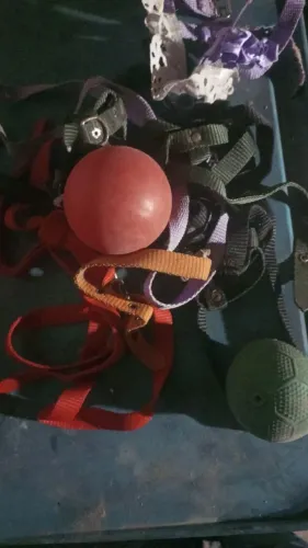 Kit de Acessórios para Cães ? Coleiras, Guias e Bolinhas