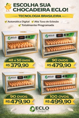 Chocadeira 
