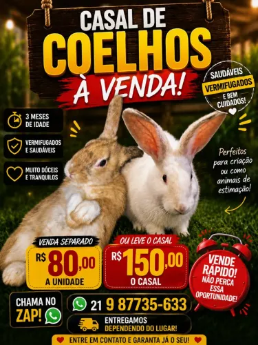 Casal de Coelhos