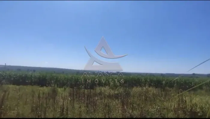 Fazenda - Rancharia - Zona Rural