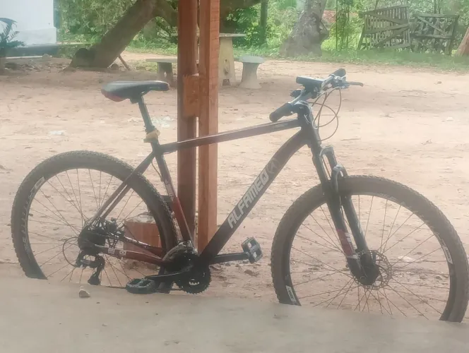 Bicicleta De Aro 29 Da Marca Alfameq