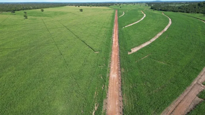 Vendo Fazenda em São Miguel do Araguaia / Goias