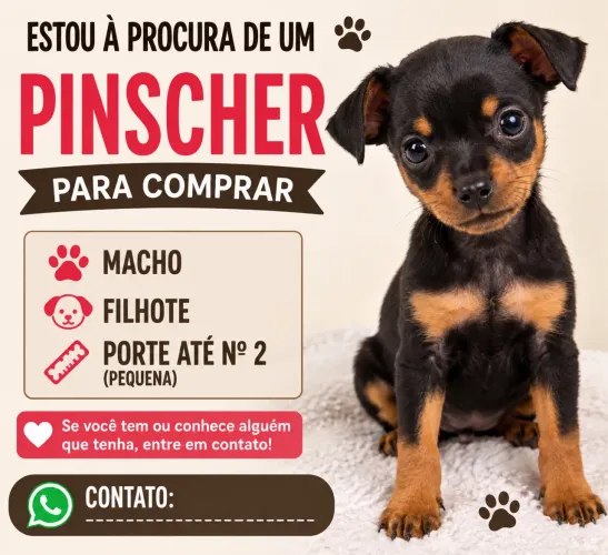 Procuro cachorro pinsher