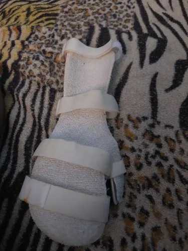 Tala mao direita