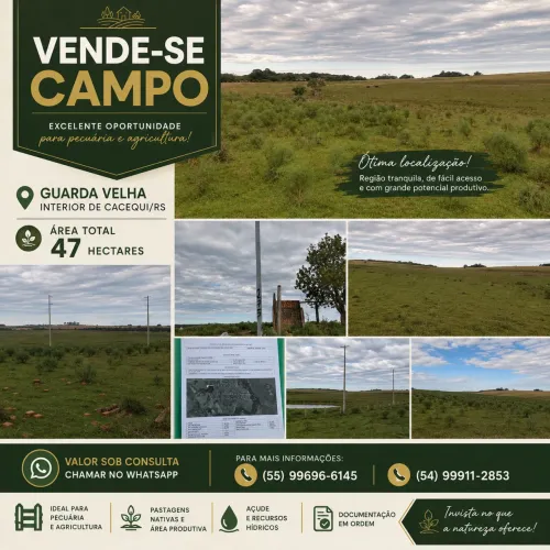 Área para plantio e pecuária
