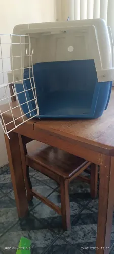 Casa transporte pra pet