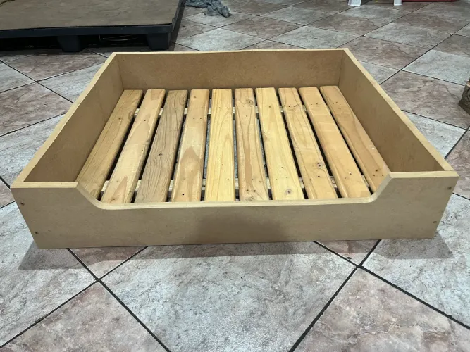 Caminha pet