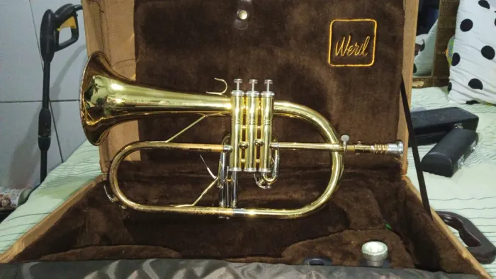 Flughhorn weril regium II