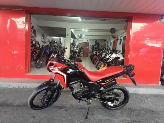 SAHARA 300 RALLY 2024/2024