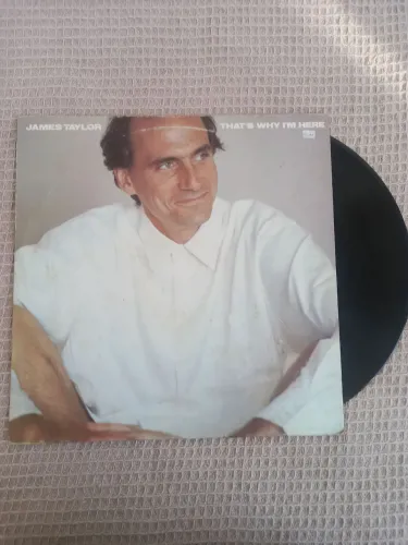 James Taylor thats why im here. Lp, disco de vinil.