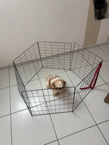 Cercado Grade Para Pets