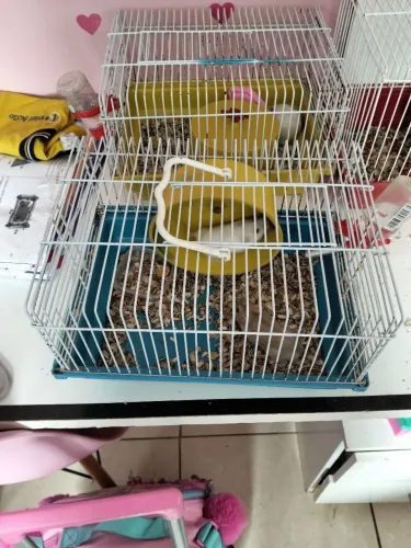 Hamster com gaiola e Bebedouro