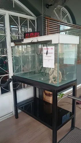 Aquário 325 litros 10 mm laminado e lapidado