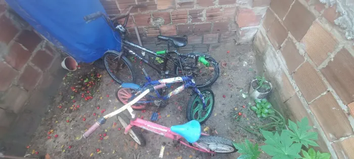 Leve 3 bicicletas por 100 reais