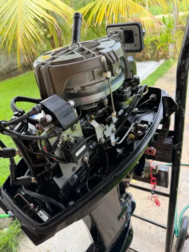 Motor de Popa 30 HP manual Mercury 2023