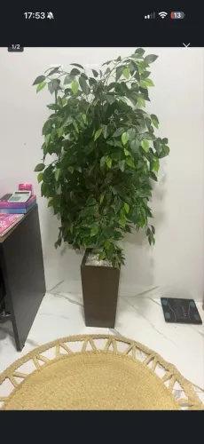 Planta artificial
