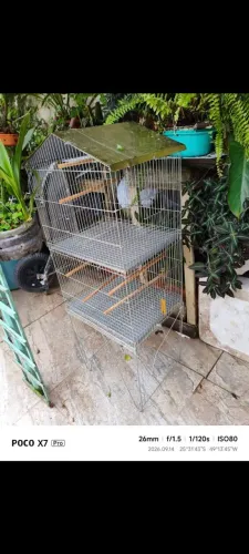 Vendo essas gaiolas, a partir de 50 reais.